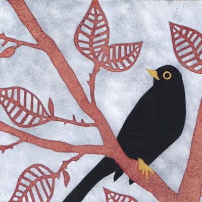 Blackbird (B01)