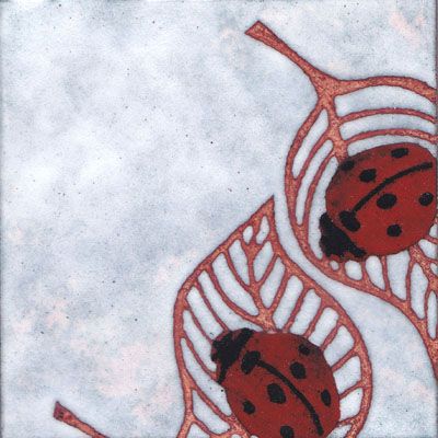 Ladybirds (B23)