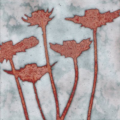 Five Daisies (C103)