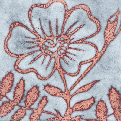 Dog Rose (C115)