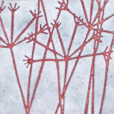 Seedheads (C12)