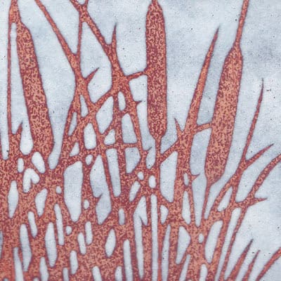 Bull Rushes (C132)