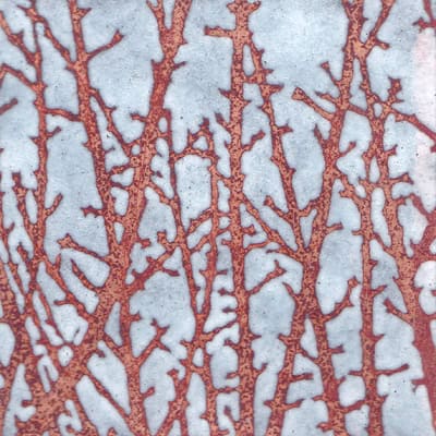 Branches (C143)