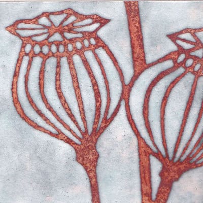 Poppy Seedheads (C162)