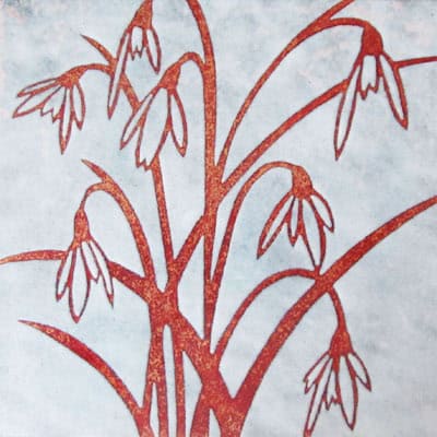 Snowdrops (C171)