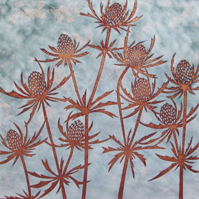 Eryngium (C175)