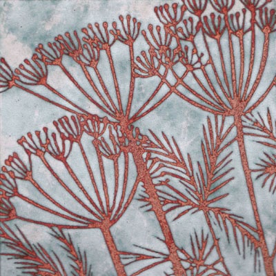 Fennel (C183)