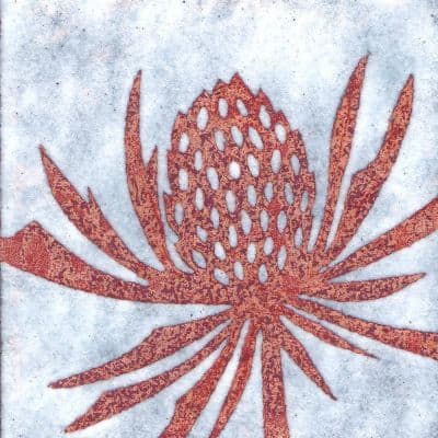 Teasel (C195)