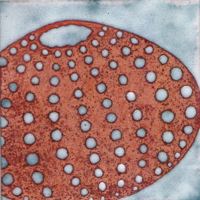 Urchin (C205)