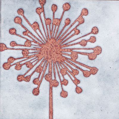 Seedhead (C217)