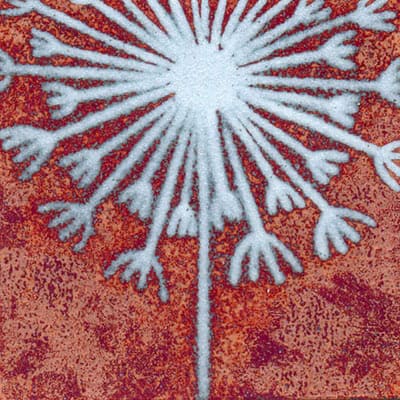 Dandelion Clock (C24)