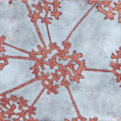 Hogweed (C25)