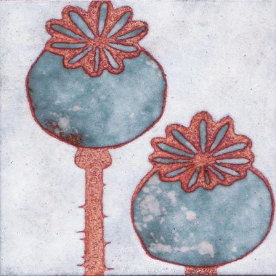 Poppy Seedheads (C268)