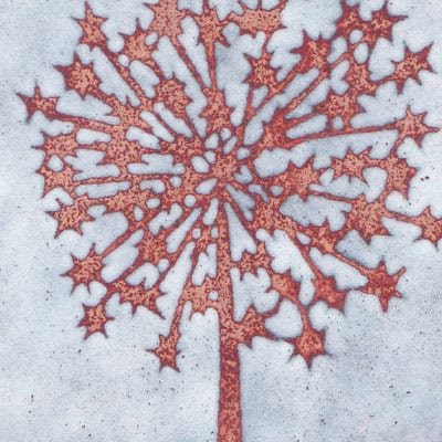 Seedhead (C27)