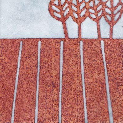 Ploughed Field (C287)