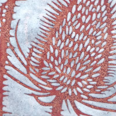Teasel (C30)