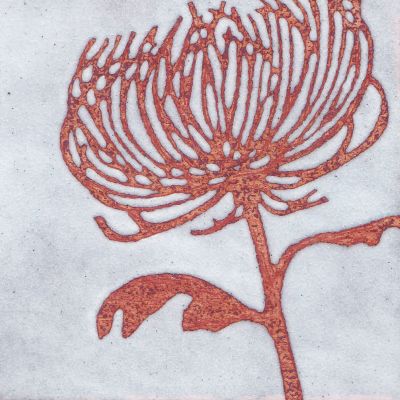 Chrysanthemum (C305)