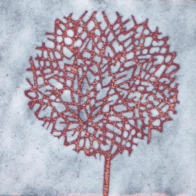 Dandelion Clock (C47)