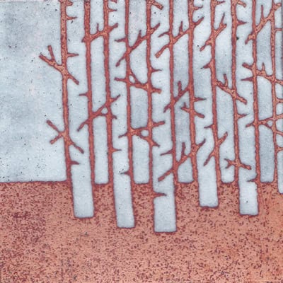 Silver Birches (C90)