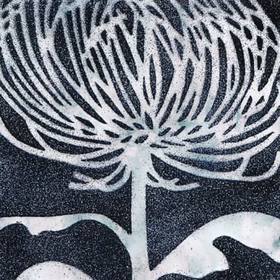 Chrysanthemum (M112)