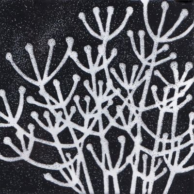 Seedheads (M236)